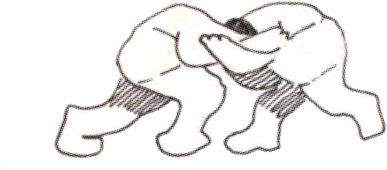 Drawing for Fight.