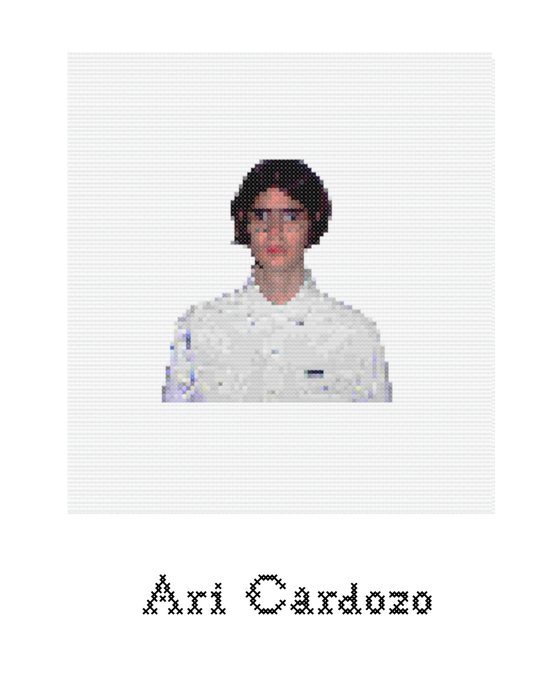 Ari Cardozo