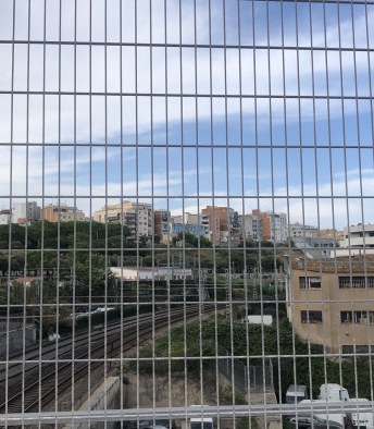 Site observation photograph 7