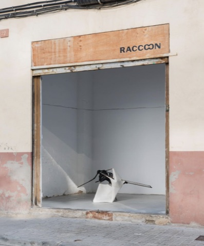 Raccoon Projects